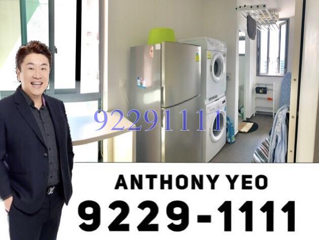 Double Bay Residences (D18), Condominium #172719862